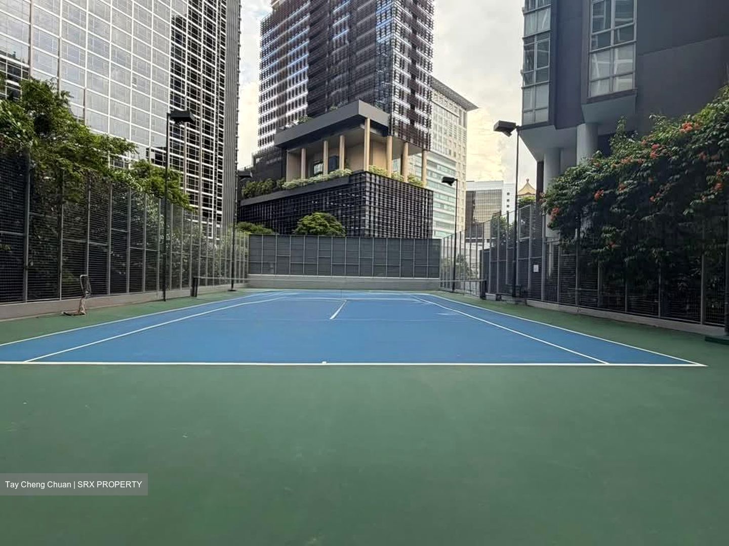 The Laurels (D9), Condominium #581343481